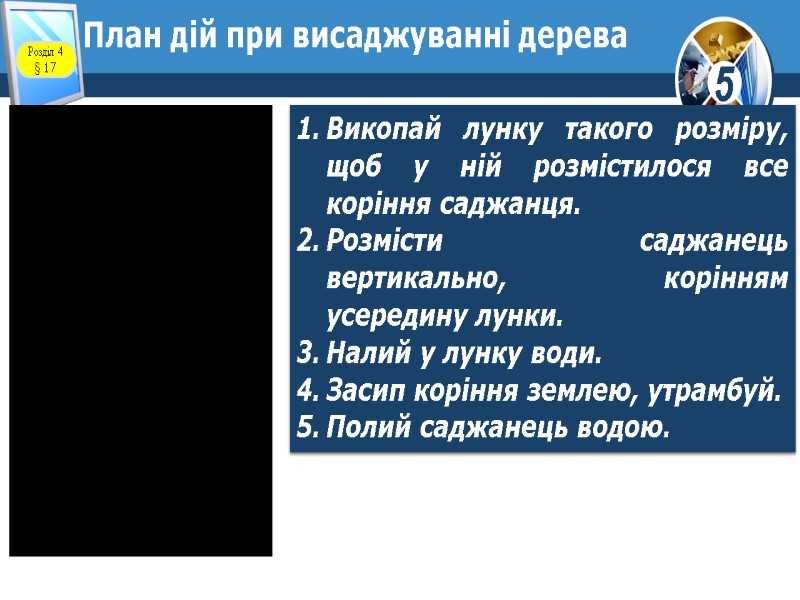 План дій при висаджуванні дерева Викопай лунку такого розміру, щоб у ній розмістилося все